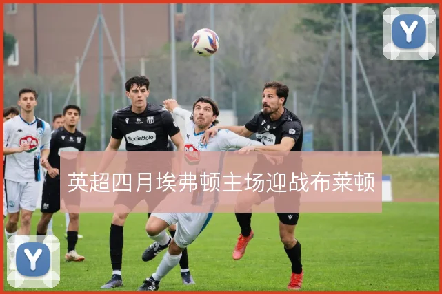 英超四月埃弗顿主场迎战布莱顿